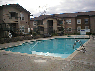 Refreshing Pool- Cool off in the summer!